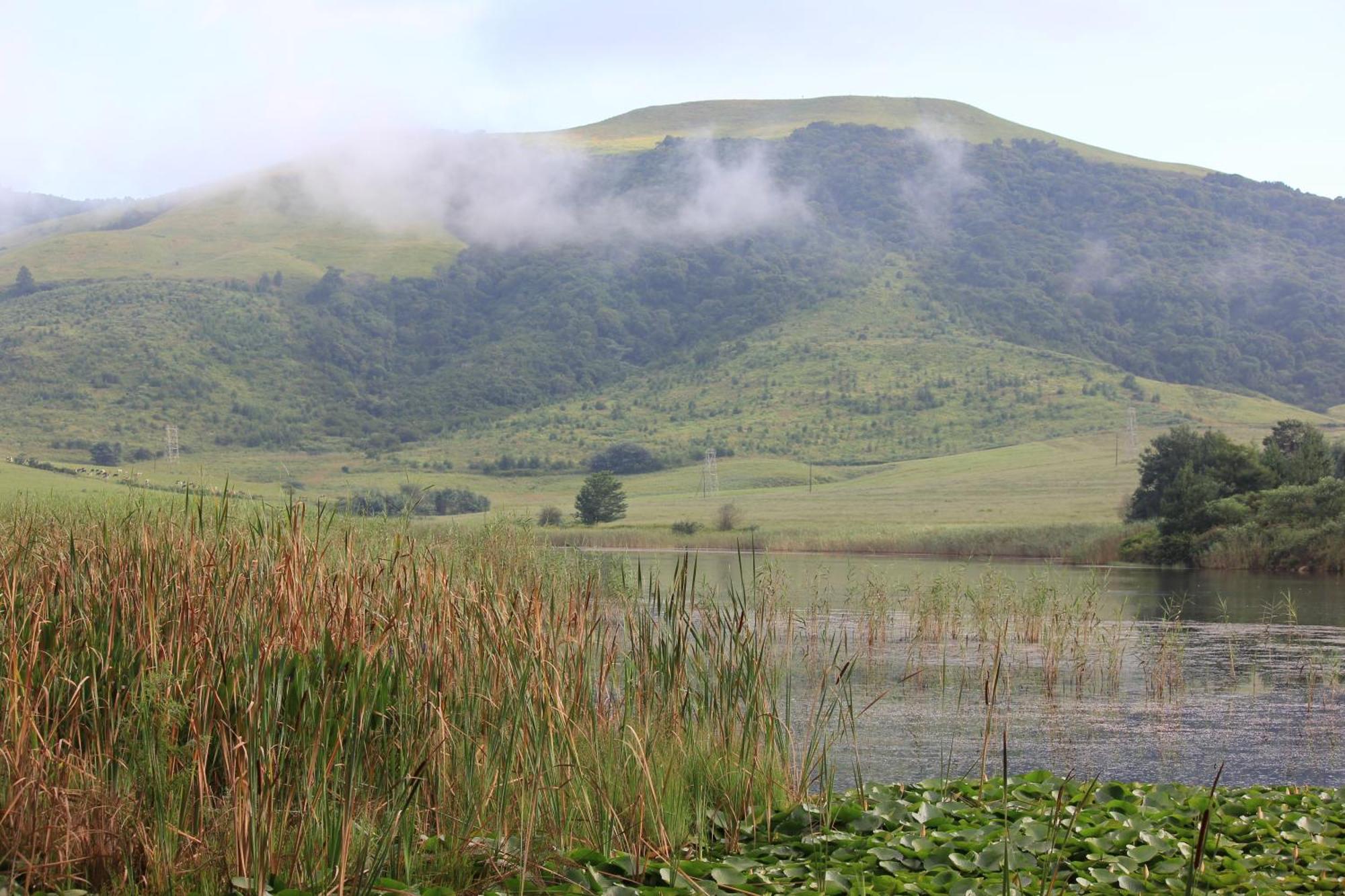 Hotel Beacon Vlei Guest farm Balgowan Esterno foto